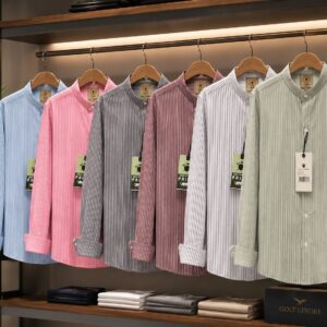 Short Kurta in Vertical Stripes
